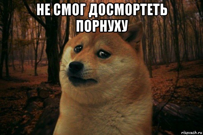 не смог досмортеть порнуху , Мем SAD DOGE