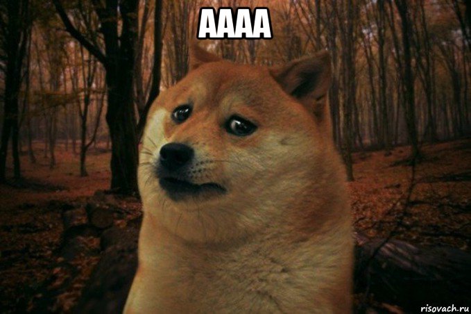 аааа , Мем SAD DOGE