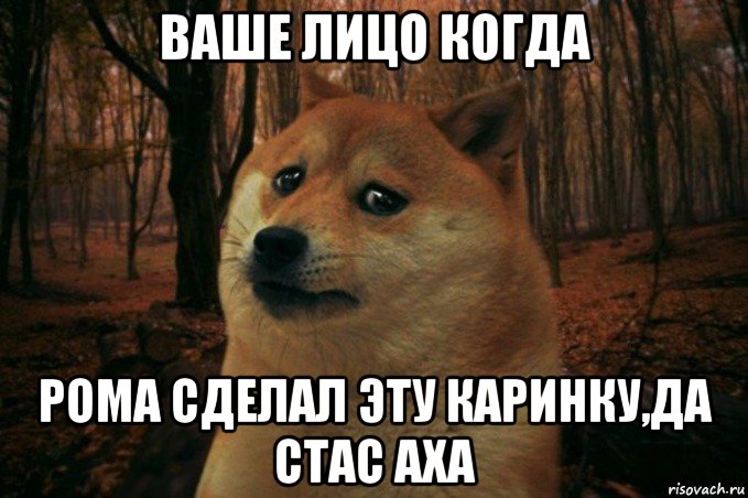 ваше лицо когда рома сделал эту каринку,да стас аха, Мем SAD DOGE