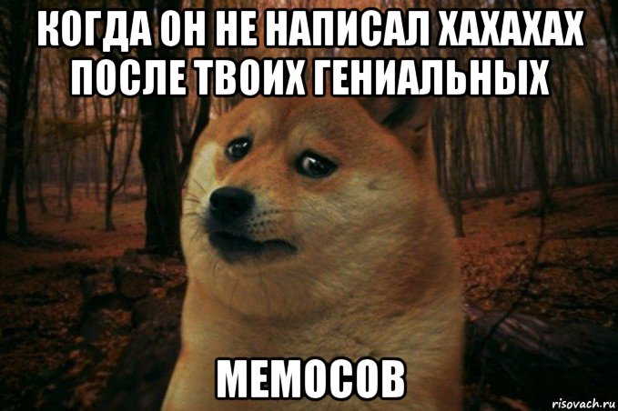 когда он не написал хахахах после твоих гениальных мемосов, Мем SAD DOGE