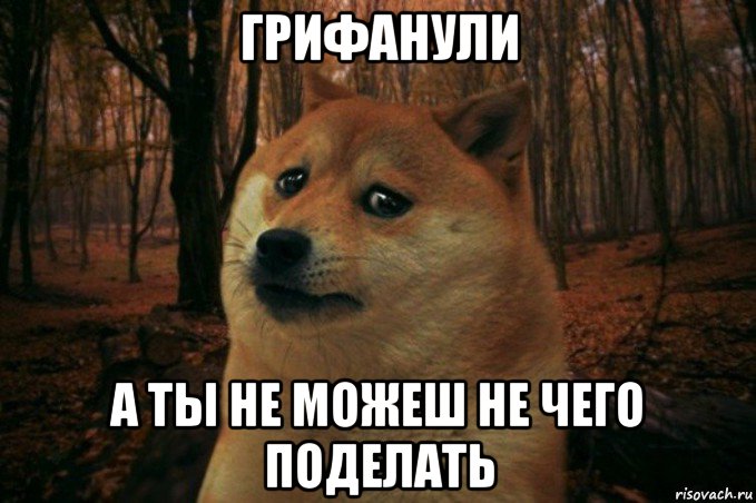 грифанули а ты не можеш не чего поделать, Мем SAD DOGE