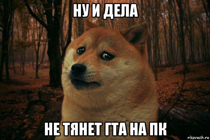 ну и дела не тянет гта на пк, Мем SAD DOGE