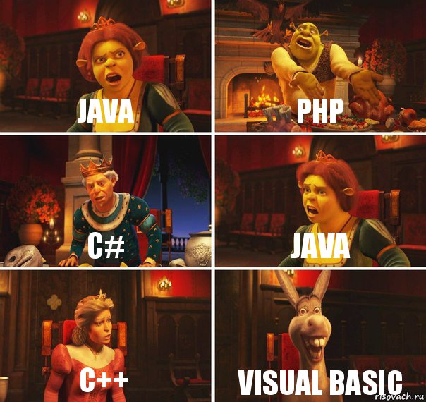 Java PHP C# Java C++ Visual basic, Комикс  Шрек Фиона Гарольд Осел