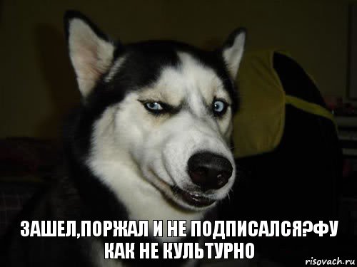 Зашел,поржал и не подписался?Фу как не культурно, Комикс  Собака подозревака