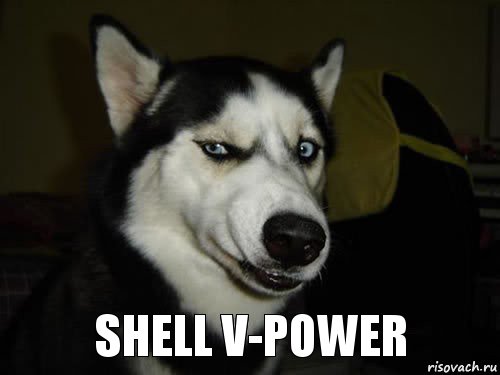 Shell V-Power, Комикс  Собака подозревака