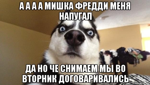 а а а а мишка фредди меня напугал да но че снимаем мы во вторник договаривались