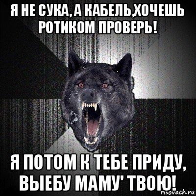 я не сука, а кабель,хочешь ротиком проверь! я потом к тебе приду, выебу маму' твою!, Мем Сумасшедший волк