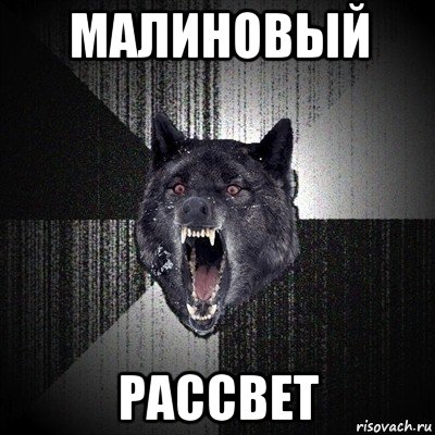 малиновый рассвет, Мем Сумасшедший волк