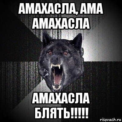 амахасла, ама амахасла амахасла блять!!!!!, Мем Сумасшедший волк