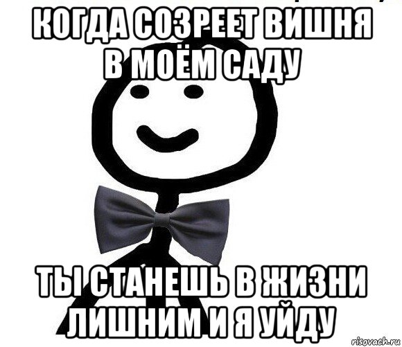 когда созреет вишня в моём саду ты станешь в жизни лишним и я уйду, Мем Теребонька в галстук-бабочке