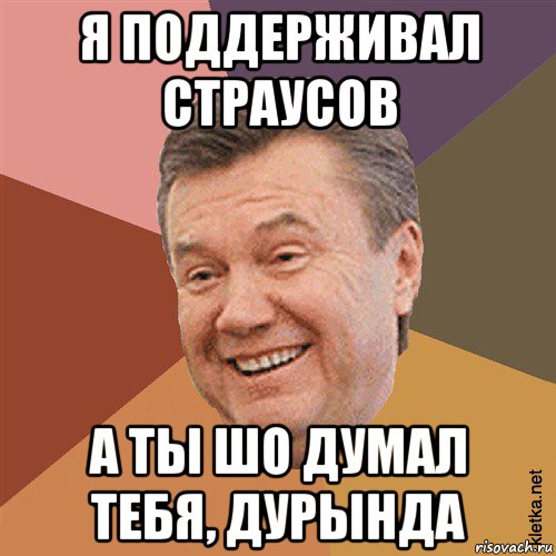 я поддерживал страусов а ты шо думал тебя, дурында, Мем Типовий Яник