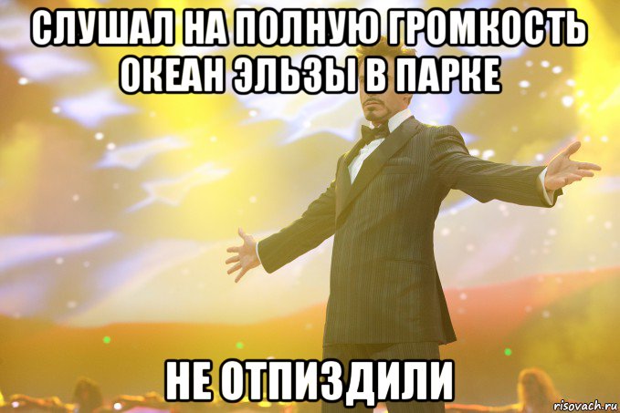 слушал на полную громкость океан эльзы в парке не отпиздили, Мем Тони Старк (Роберт Дауни младший)