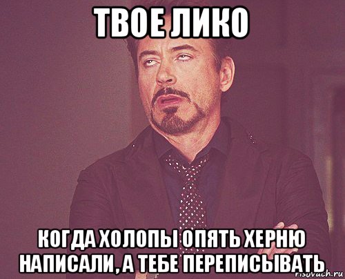 твое лико когда холопы опять херню написали, а тебе переписывать, Мем твое выражение лица