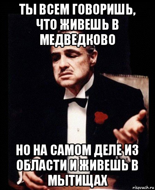 ты всем говоришь, что живешь в медведково но на самом деле из области и живешь в мытищах, Мем ты делаешь это без уважения