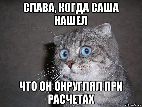 слава, когда саша нашел что он округлял при расчетах, Мем  удивлённый кот