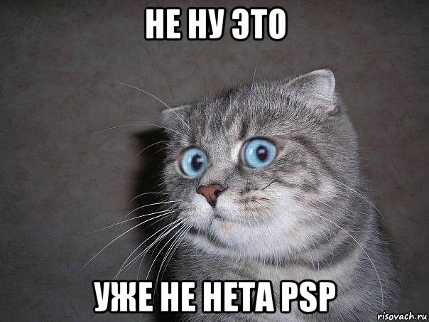 не ну это уже не нета psp, Мем  удивлённый кот