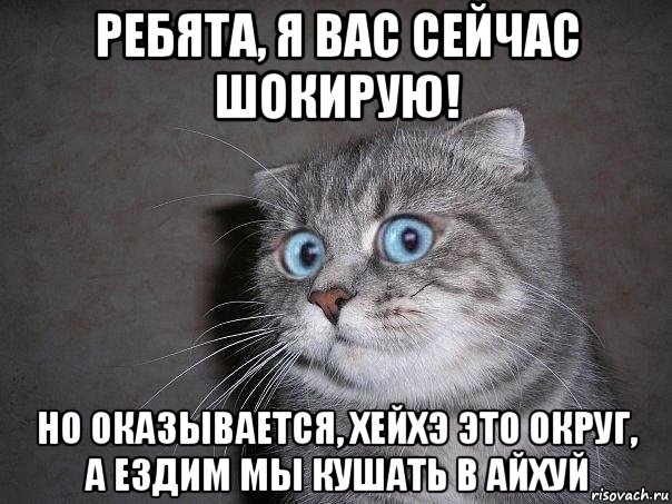 ребята, я вас сейчас шокирую! но оказывается, хейхэ это округ, а ездим мы кушать в айхуй, Мем  удивлённый кот