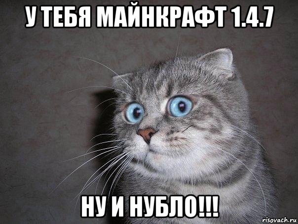 у тебя майнкрафт 1.4.7 ну и нубло!!!, Мем  удивлённый кот