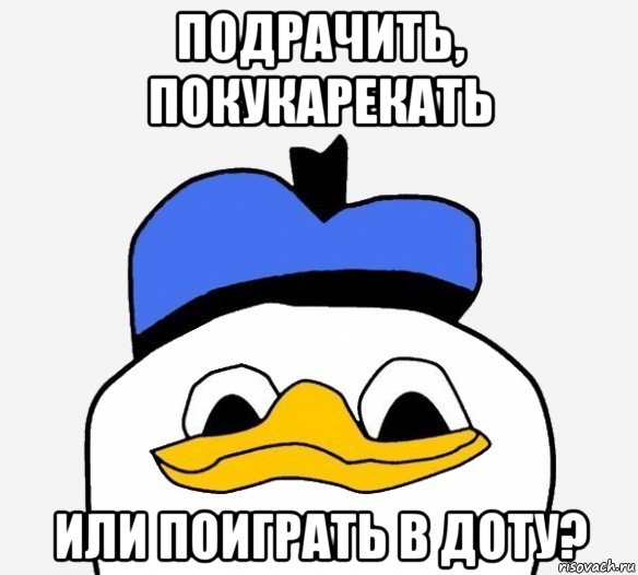 подрачить, покукарекать или поиграть в доту?, Мем Утка