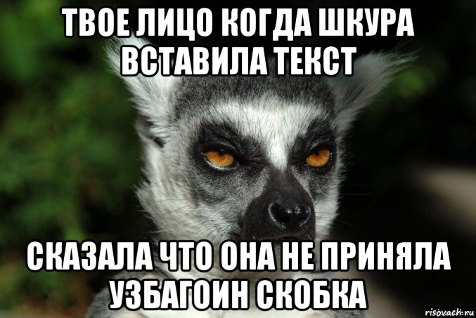 твое лицо когда шкура вставила текст сказала что она не приняла узбагоин скобка, Мем   Я збагоен