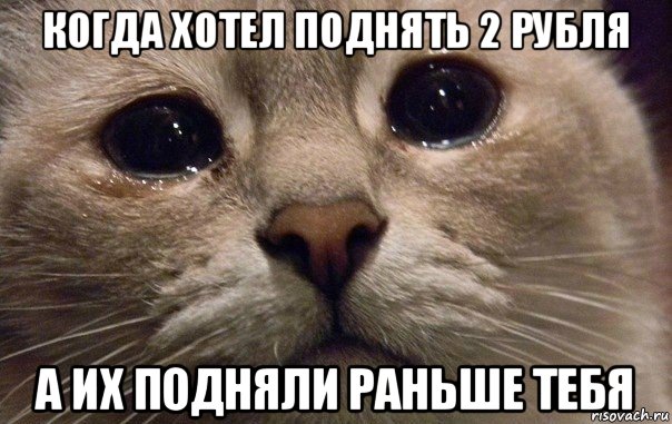 когда хотел поднять 2 рубля а их подняли раньше тебя, Мем   В мире грустит один котик