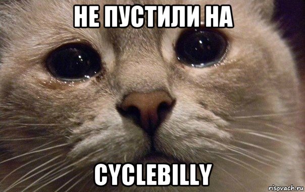 не пустили на cyclebilly, Мем   В мире грустит один котик