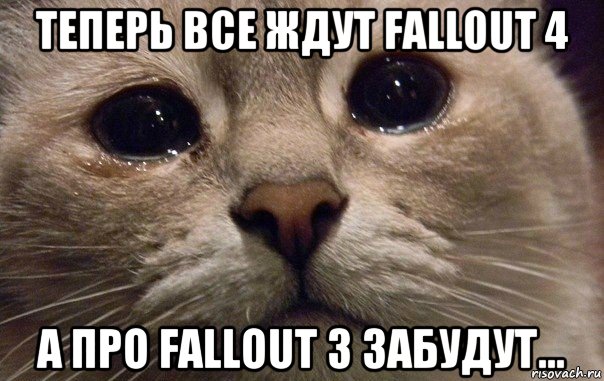 теперь все ждут fallout 4 а про fallout 3 забудут...