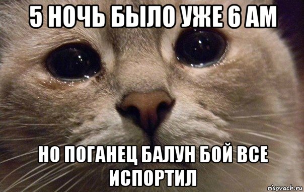 5 ночь было уже 6 ам но поганец балун бой все испортил, Мем   В мире грустит один котик