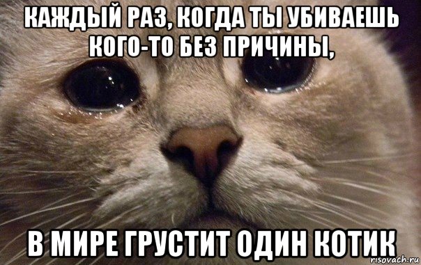 каждый раз, когда ты убиваешь кого-то без причины, в мире грустит один котик, Мем   В мире грустит один котик