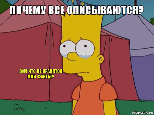 Почему все описываются?  Вам что не нравятся мои факты?, Комикс   Барт плачет