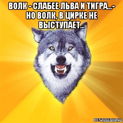 волк - слабее льва и тигра...- но волк, в цирке не выступает... , Мем Волк