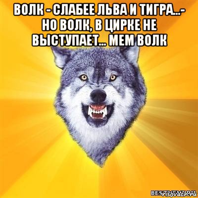 волк - слабее льва и тигра...- но волк, в цирке не выступает... мем волк , Мем Волк