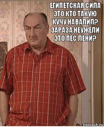 Египетская сила это кто такую кучу навалил? зараза неужели это пёс Лёни?, Комикс Николай Петрович Воронин