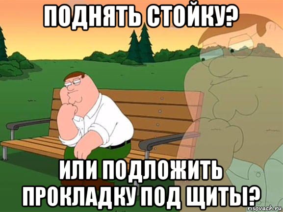 поднять стойку? или подложить прокладку под щиты?, Мем Задумчивый Гриффин