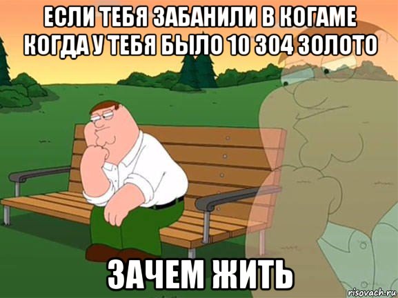 если тебя забанили в когаме когда у тебя было 10 304 золото зачем жить, Мем Задумчивый Гриффин