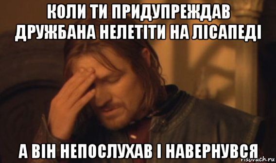 коли ти придупреждав дружбана нелетіти на лісапеді а він непослухав і навернувся, Мем Закрывает лицо