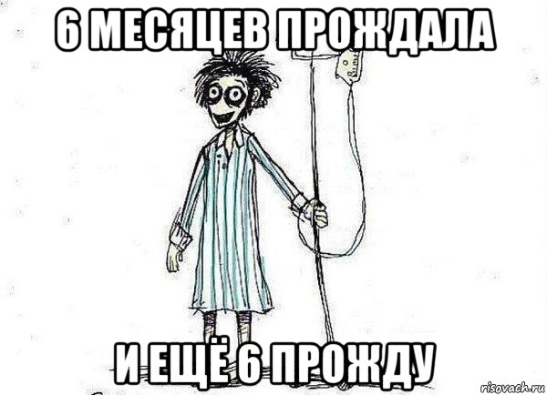 6 месяцев прождала и ещё 6 прожду, Мем  зато я сдал