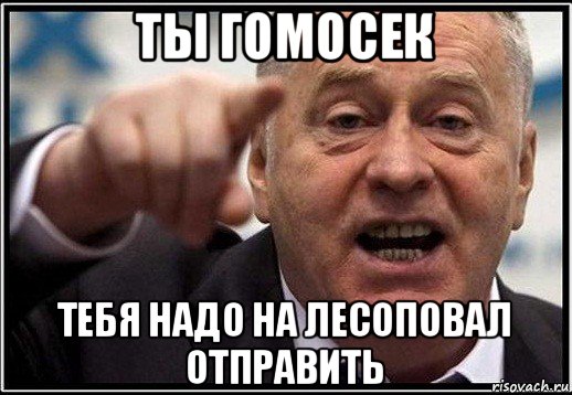 ты гомосек тебя надо на лесоповал отправить, Мем жириновский ты