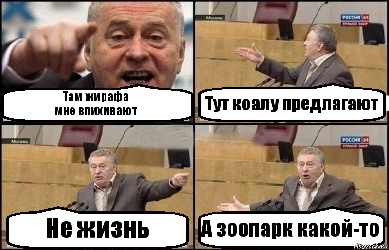 Там жирафа
мне впихивают Тут коалу предлагают Не жизнь А зоопарк какой-то, Комикс Жириновский