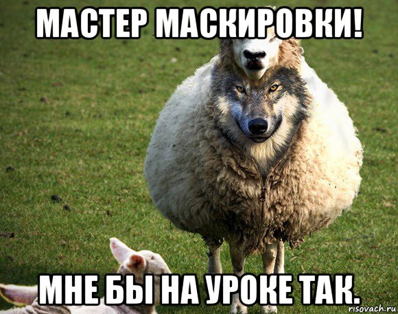 мастер маскировки! мне бы на уроке так., Мем Злая Овца