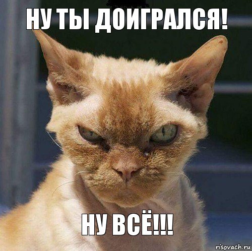 Ну ты доигрался! Ну всё!!!, Комикс  злой кот