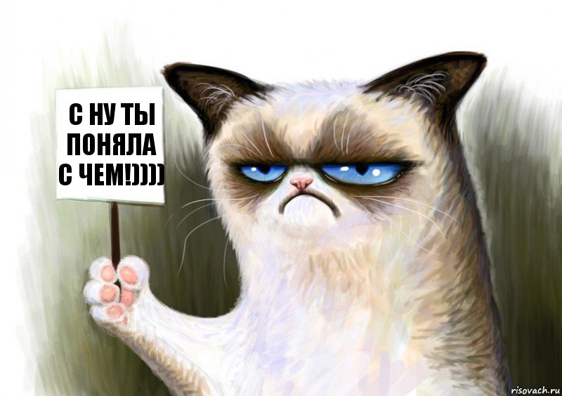 С Ну ты поняла с чем!)))), Комикс Сварливый кот с табличкой