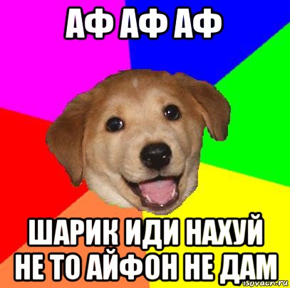 аф аф аф шарик иди нахуй не то айфон не дам, Мем Advice Dog