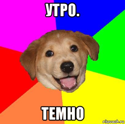 утро. темно, Мем Advice Dog