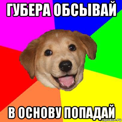 губера обсывай в основу попадай, Мем Advice Dog