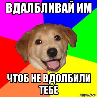 вдалбливай им чтоб не вдолбили тебе, Мем Advice Dog