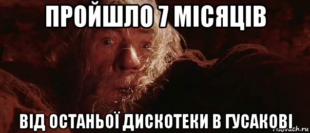 пройшло 7 місяців від останьої дискотеки в гусакові, Мем бегите глупцы