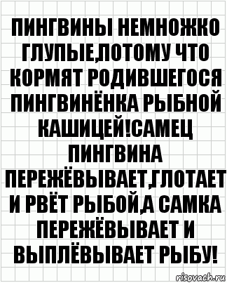 Пингвины немножко глупые,потому что кормят родившегося пингвинёнка рыбной кашицей!Самец пингвина пережёвывает,глотает и рвёт рыбой,а самка пережёвывает и выплёвывает рыбу!