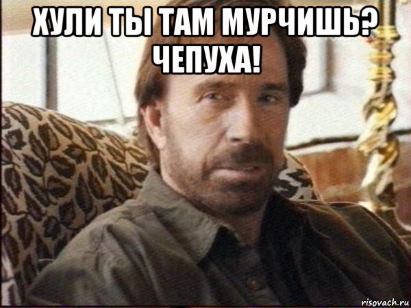 хули ты там мурчишь? чепуха! , Мем чак норрис