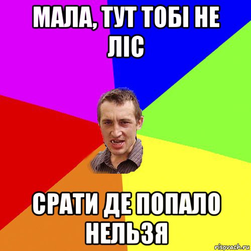 мала, тут тобі не ліс срати де попало нельзя, Мем Чоткий паца